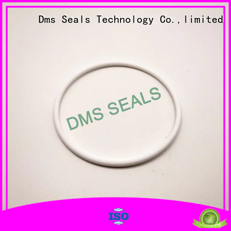 high end o ring seal manufacturer professional in highly aggressive chemical processing DMS Seal Manufacturer