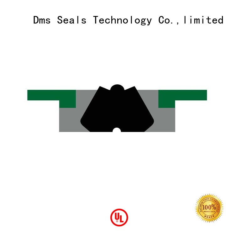 DMS Seal Manufacturer Brand piston seal oring ptfe piston seals