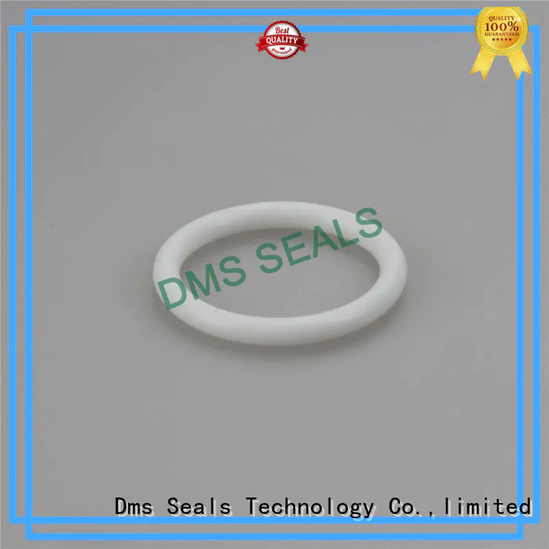 wiper seal design for static sealing DMS Seal Manufacturer