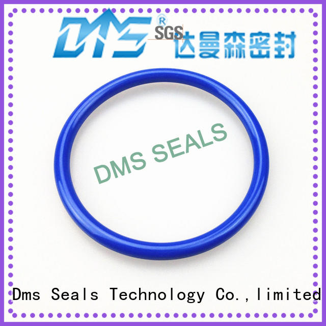 oil seal ring hydraulic spring seal DMS Seal Manufacturer Brand company