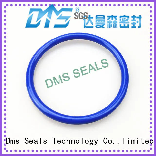 oil seal ring hydraulic spring seal DMS Seal Manufacturer Brand company