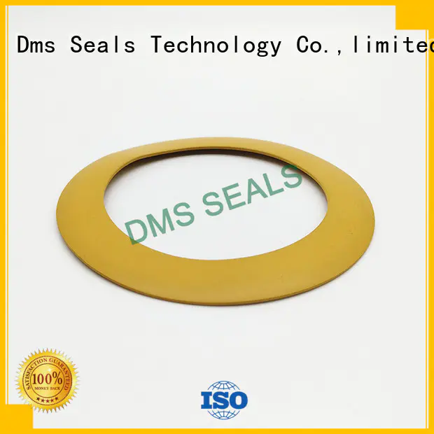 DMS Seal Manufacturer pi Gasket material for liquefied gas