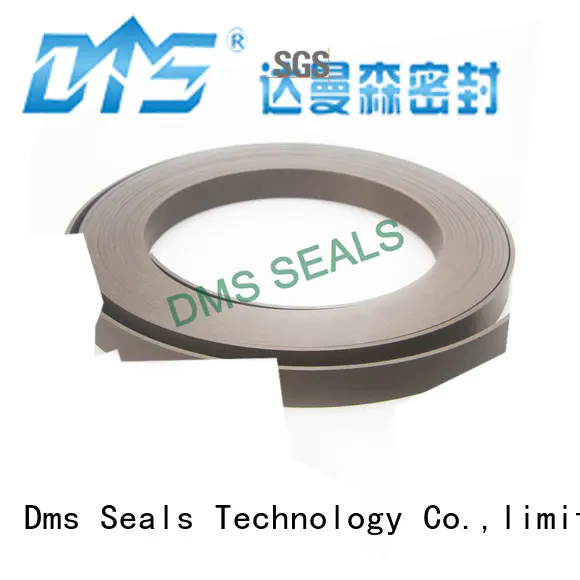 DMS Seal Manufacturer Best 1 roller ball bearing wear ring as the guide sleeve