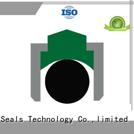 DMS Seal Manufacturer hydraulic o-ring seal with nbr or fkm o ring for construction machinery