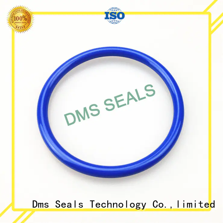 DMS Seal Manufacturer Top 2.25 o ring for business for static sealing