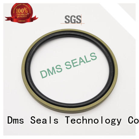 spgw hydraulic seals catalogue tpm for piston and hydraulic cylinder DMS Seal Manufacturer