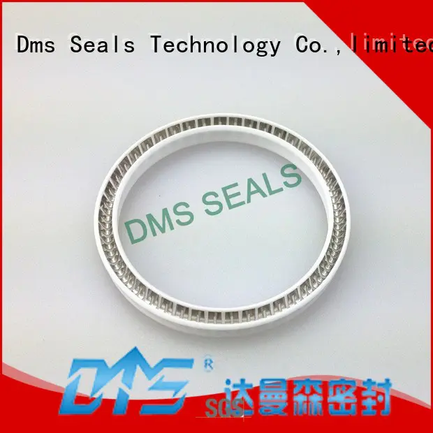 spring energized seals solutions for reciprocating piston rod or piston single acting seal DMS Seal Manufacturer