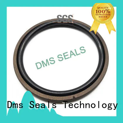 DMS Seal Manufacturer Custom piston rod seals hydraulic Suppliers for sale