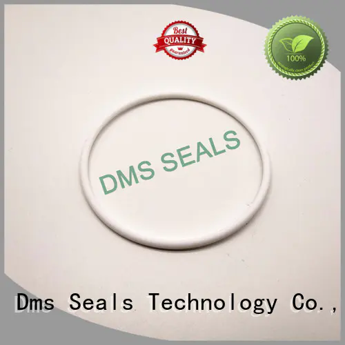 Custom ptfe o-ring seal seal DMS Seal Manufacturer