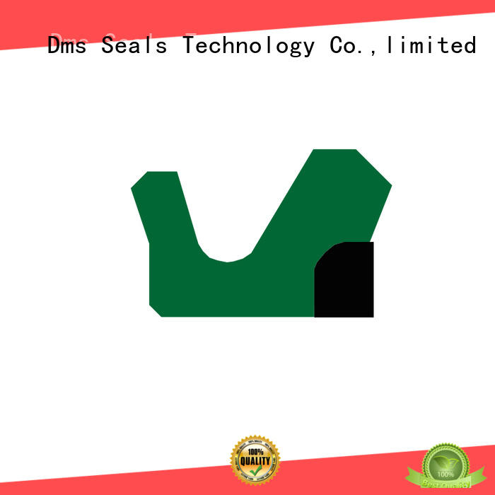 DMS Seal Manufacturer Latest push rod seal Supply for pressure work and sliding high speed occasions