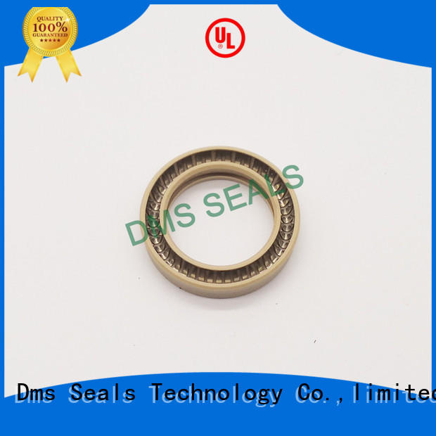 DMS Seal Manufacturer spring energized seals supplier for reciprocating piston rod or piston single acting seal
