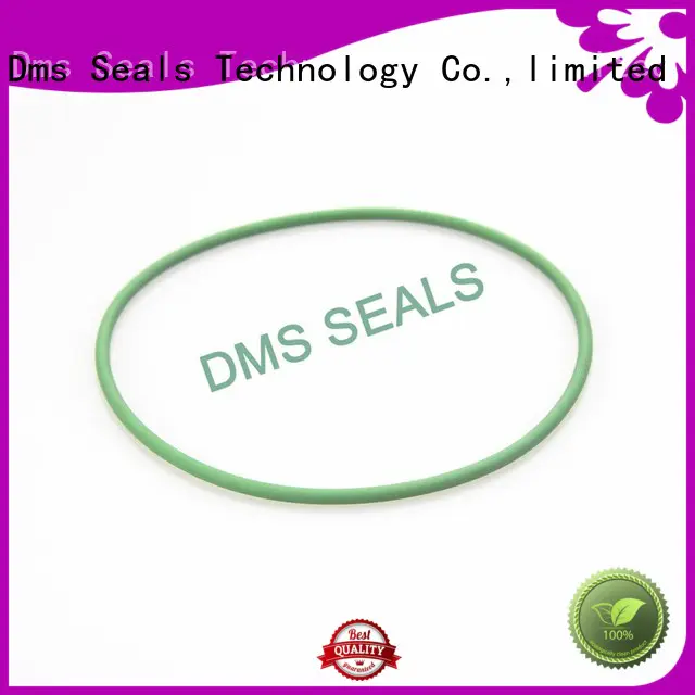 Hot ptfe oil seal ring oring DMS Seal Manufacturer Brand