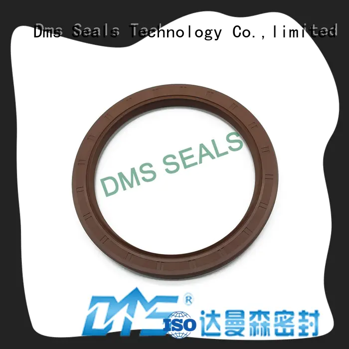 DMS Seal Manufacturer o ring production with integrated spring for sale
