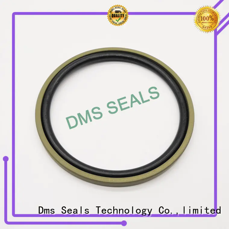hydraulic seal oring piston seals piston DMS Seal Manufacturer Brand