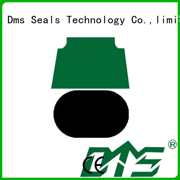DMS Seal Manufacturer piston seal hydraulic Suppliers for sale