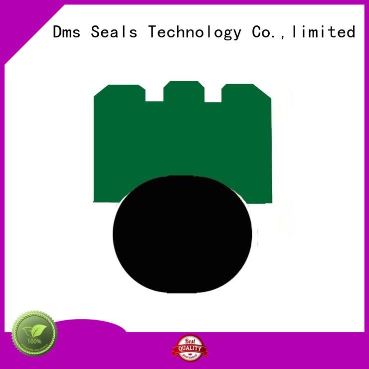 oring Custom seal nbrfkm rotary seals DMS Seal Manufacturer ptfe