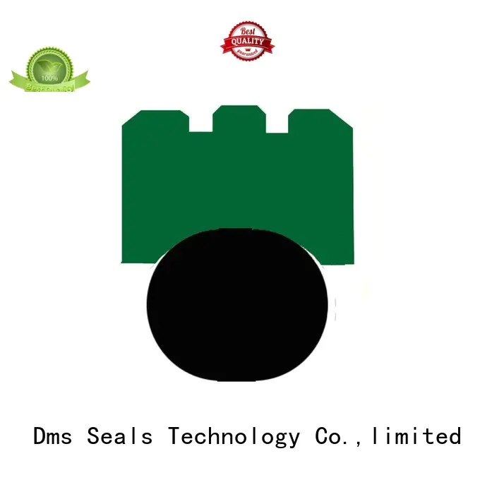 DMS Seal Manufacturer Brand rotary rotary seals hydraulic factory