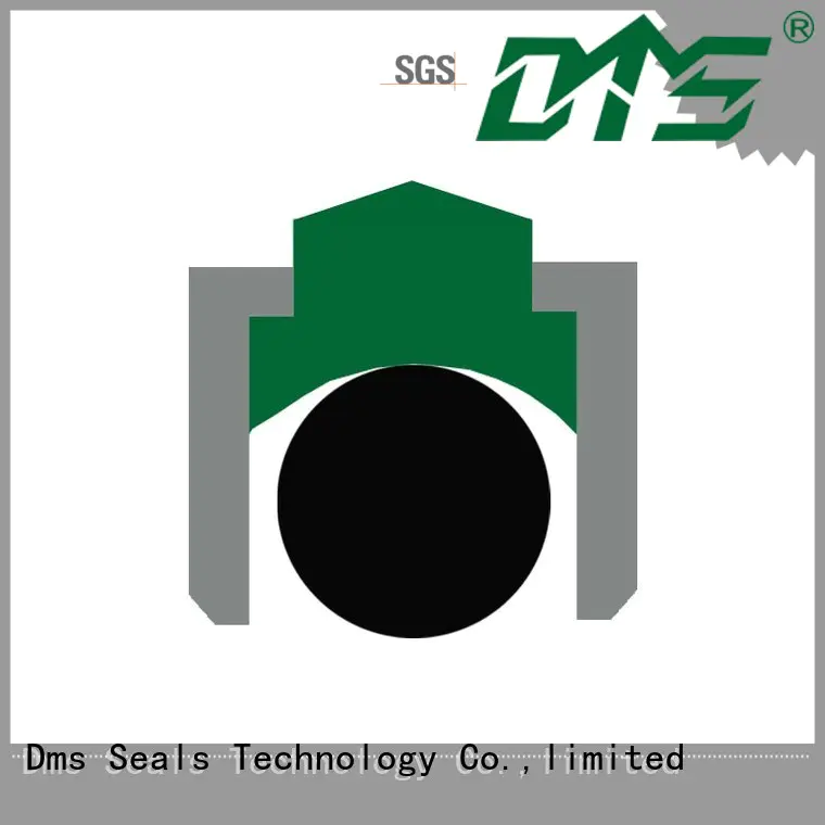 DMS Seal Manufacturer high speed rotary seals manufacturer with nbr or fkm o ring for automotive equipment