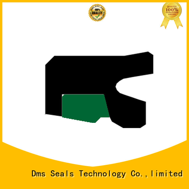 DMS Seal Manufacturer step piston rod seal seal environment