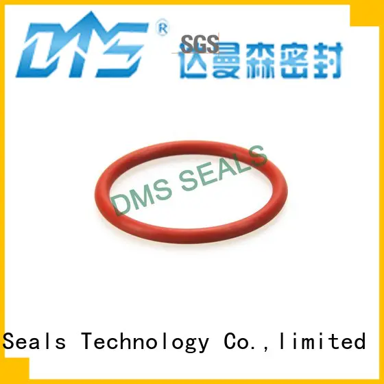 oil seal ring hydraulic spring o-ring seal DMS Seal Manufacturer Brand