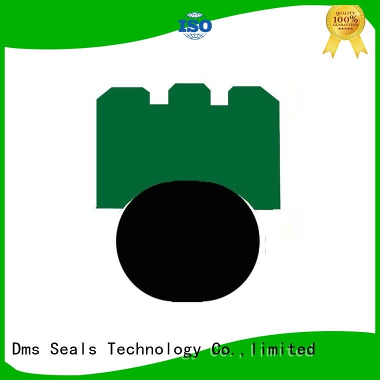 rotary shaft seals hydraulic seal ptfe DMS Seal Manufacturer Brand company