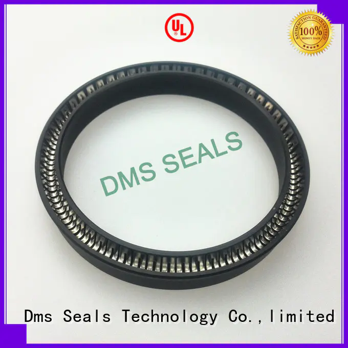 DMS Seal Manufacturer Best oil seal spring for business for aviation
