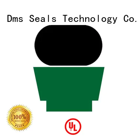 nbrfkm hydraulic rod rod seals DMS Seal Manufacturer Brand