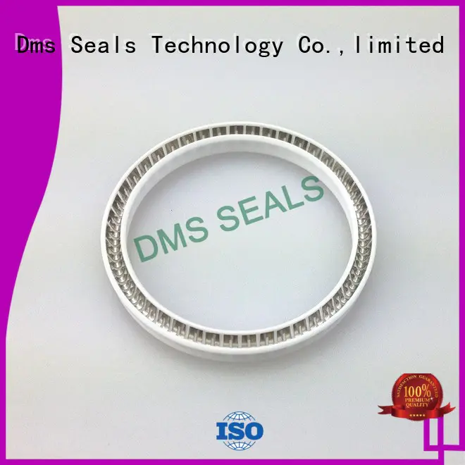 Custom rod end seals for reciprocating piston rod or piston single acting seal