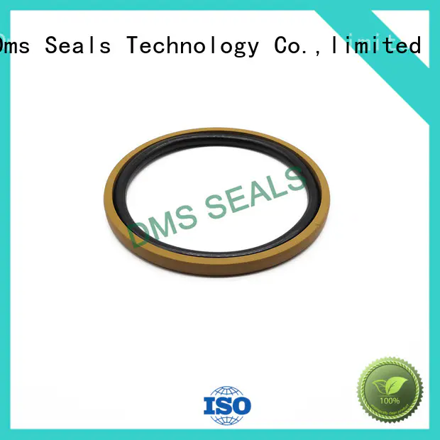 DMS Seal Manufacturer High-quality hydraulic press seals factory for pneumatic equipment