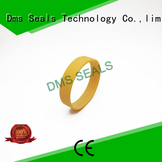 DMS Seal Manufacturer High-quality bearing the elements as the guide sleeve