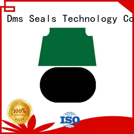 DMS Seal Manufacturer Brand ptfe hydraulic oring seal piston seals