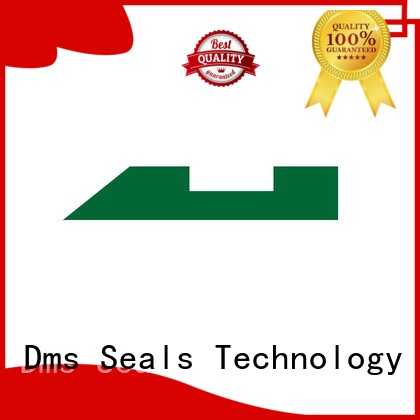 DMS Seal Manufacturer High-quality radial needle bearing factory for sale