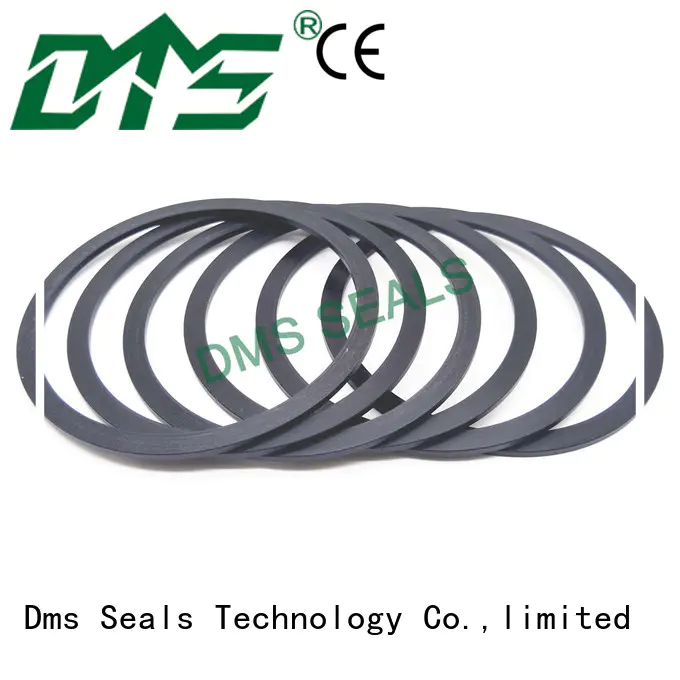 DMS Seal Manufacturer ptfe automotive rubber gasket material torque for preventing the seal from being squeezed