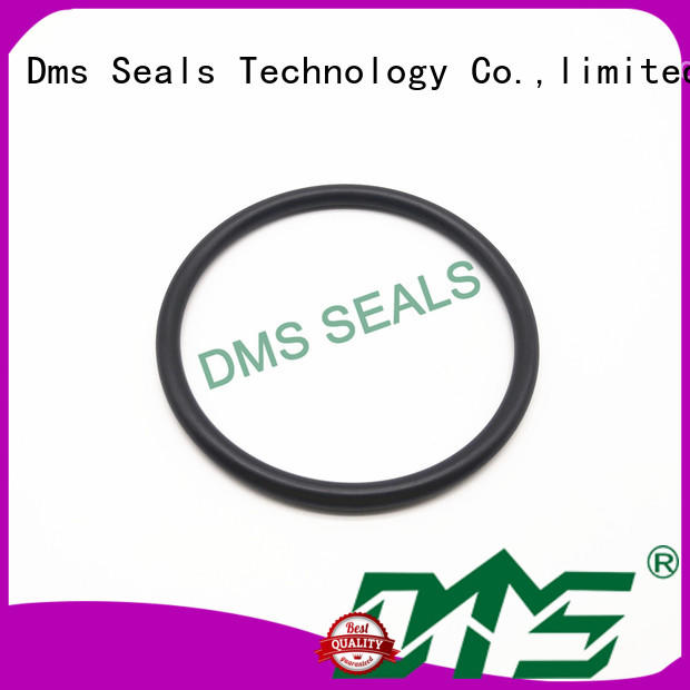 o ring kit manufacturer in highly aggressive chemical processing DMS Seal Manufacturer