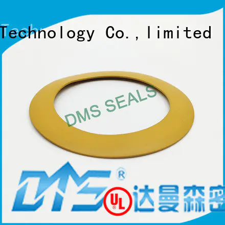 DMS Seal Manufacturer nbr polymer gasket ring for liquefied gas