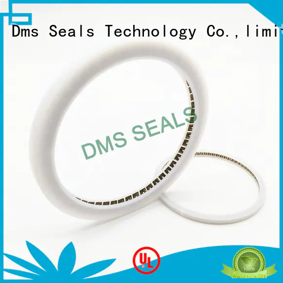 food and medicine industry oil seal manufacturer solutions for reciprocating piston rod or piston single acting seal