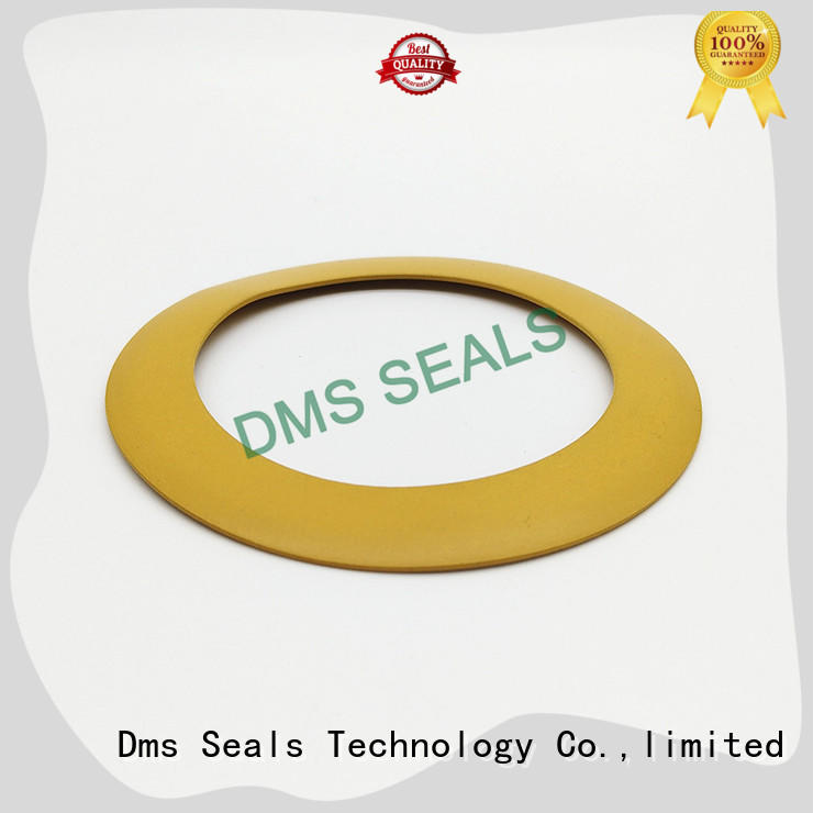 gasket Gasket plastic for liquefied gas DMS Seal Manufacturer