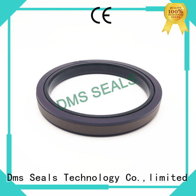 DMS Seal Manufacturer glyd ring o ring for piston and hydraulic cylinder