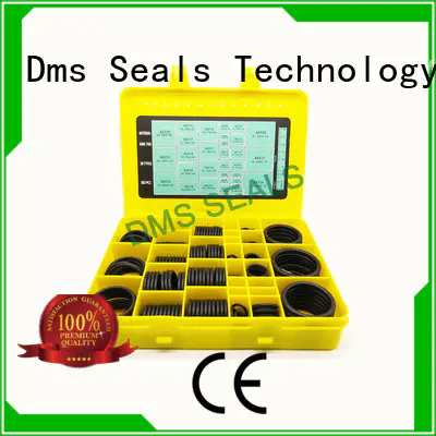 DMS Seal Manufacturer good quality o ring mould company For sealing products