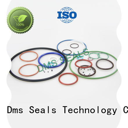 DMS Seal Manufacturer o ring seal supplier for business in highly aggressive chemical processing
