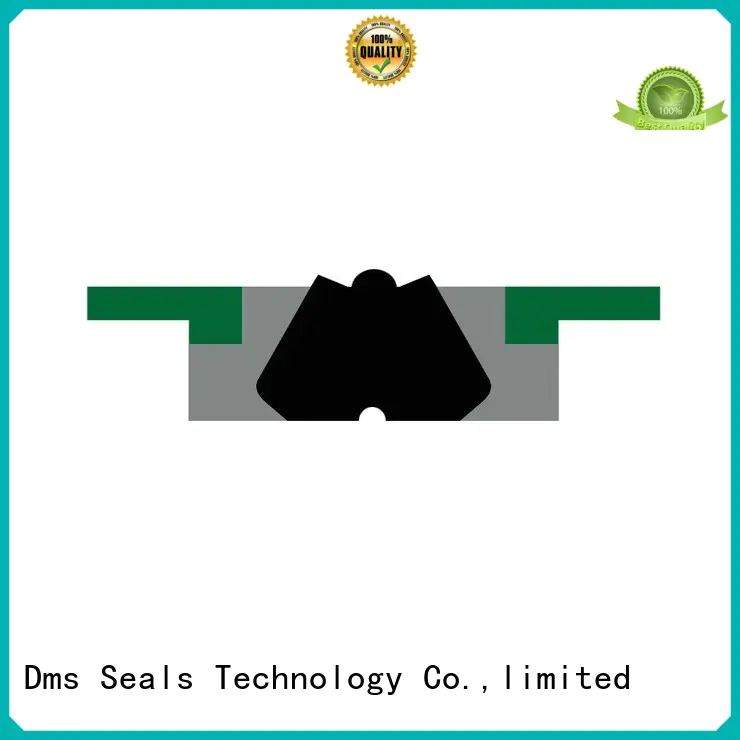 oring seal hydraulic DMS Seal Manufacturer Brand piston seals