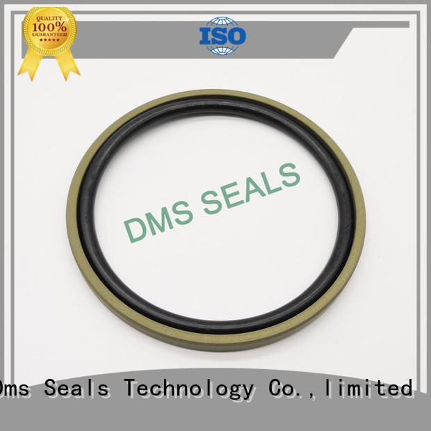 DMS Seal Manufacturer best hydraulic ram seals for larger piston clearance