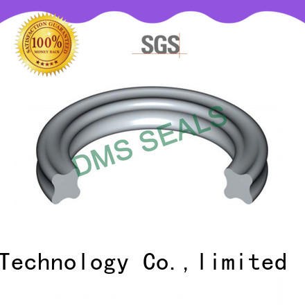 DMS Seal Manufacturer o-ring seal in highly aggressive chemical processing