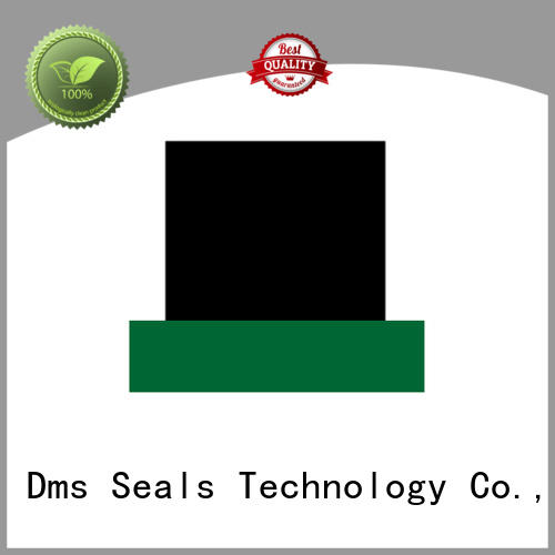 seal rod seal catalogue rod environment DMS Seal Manufacturer