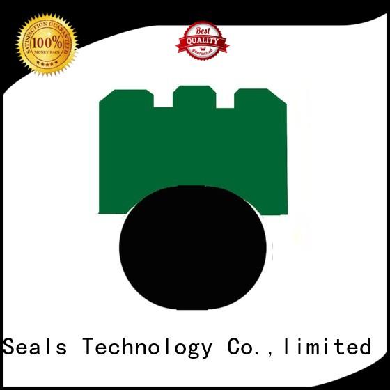 DMS Seal Manufacturer ptfe rotary seals manufacturer oi for automotive equipment