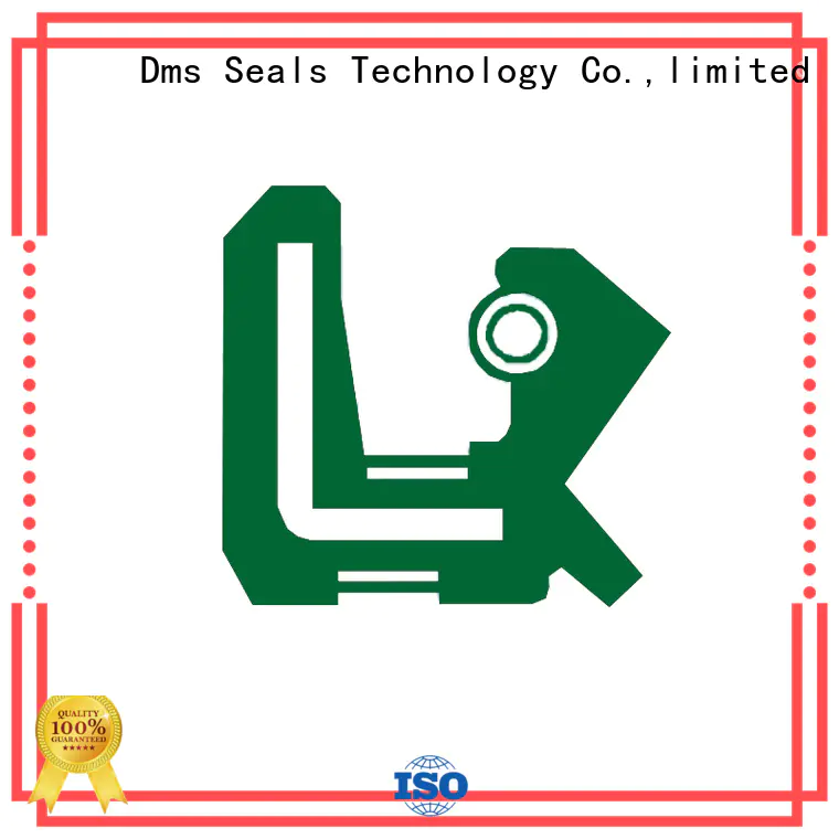 tc tcm oil seals tc for low and high viscosity fluids sealing DMS Seal Manufacturer