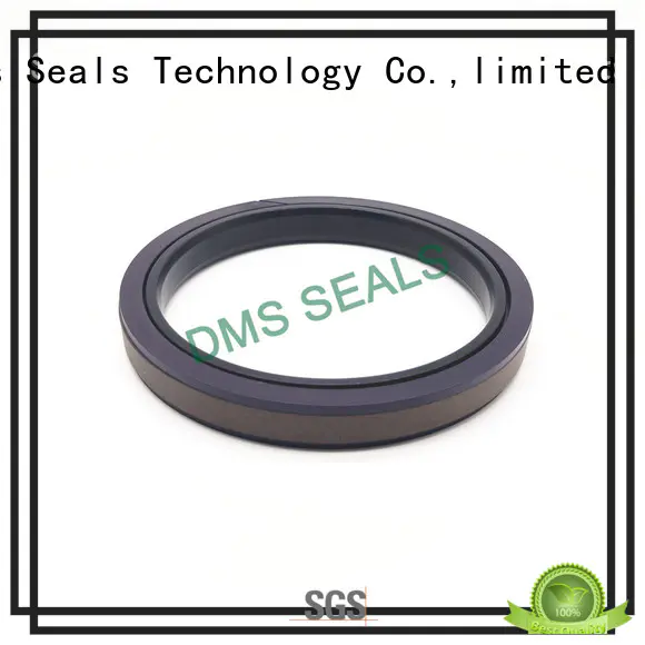 rod seal glyd ring for piston and hydraulic cylinder DMS Seal Manufacturer