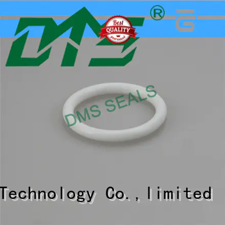 DMS Seal Manufacturer Latest specialty o rings factory for static sealing