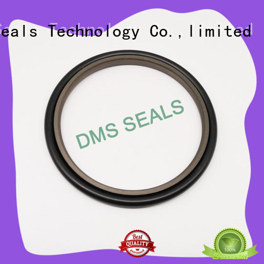 DMS Seal Manufacturer spgw hydraulic ram seals o ring for piston and hydraulic cylinder