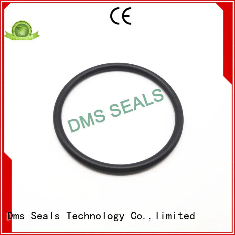 DMS Seal Manufacturer Brand seal ptfe hydraulic o-ring seal manufacture